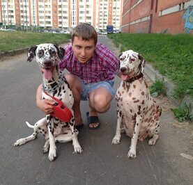 Дмитрий