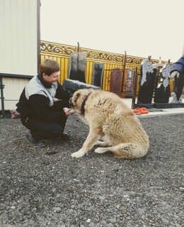 Роман — фото 5
